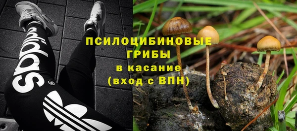 винт Лиски