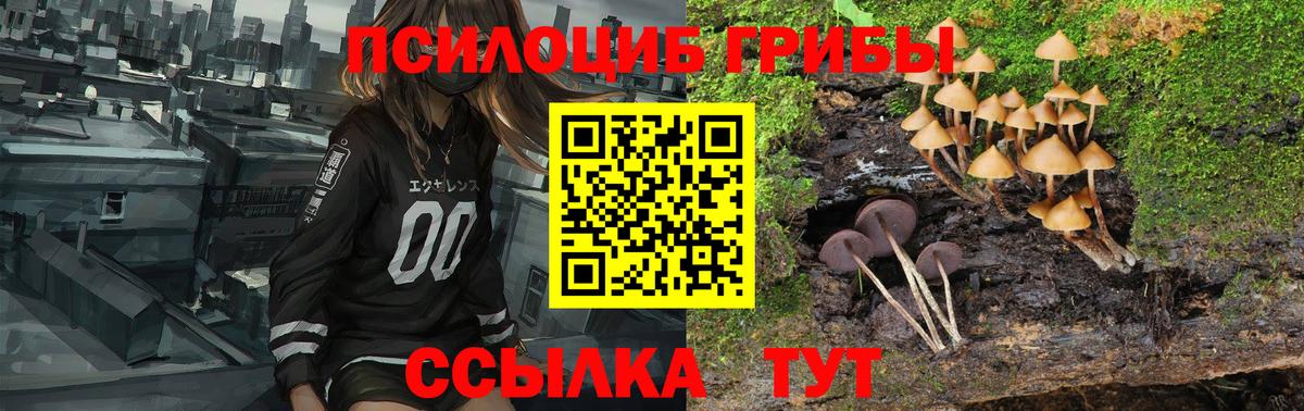 Псилоцибиновые грибы ЛСД  где продают наркотики  Раменское  Вход с VPN 