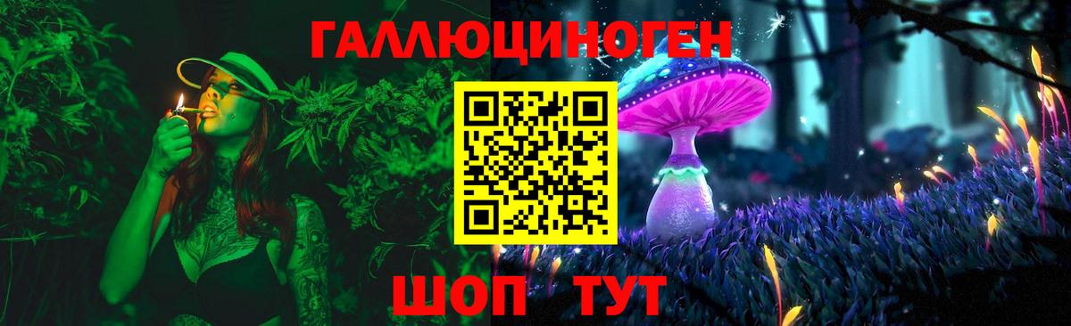 Псилоцибиновые грибы Psilocybine cubensis Раменское